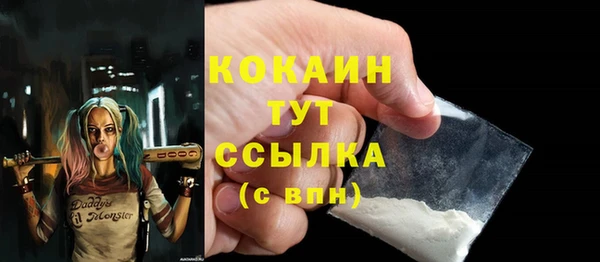 сатива Пересвет