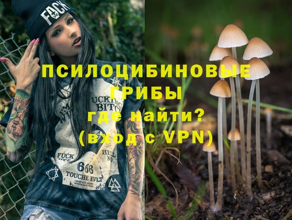 сатива Пересвет