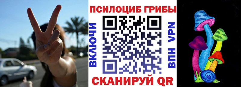 Купить закладки  Михайлов  Псилоцибиновые грибы Cubensis 